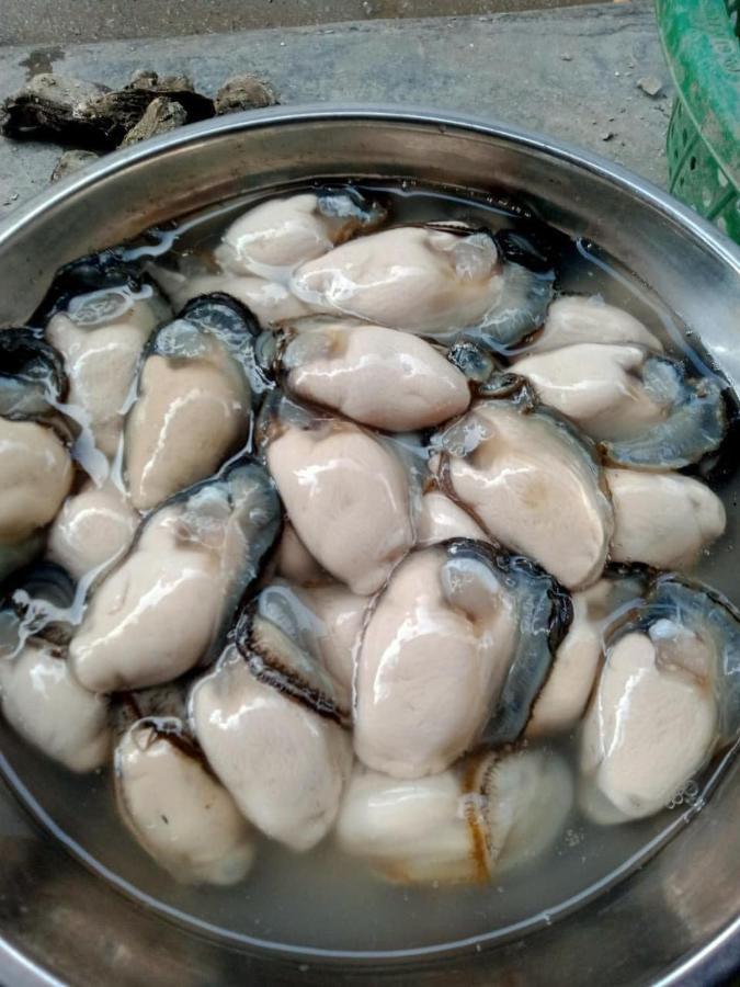 Thai Bao Hotel And Restaurant Chan Chau Buitenkant foto